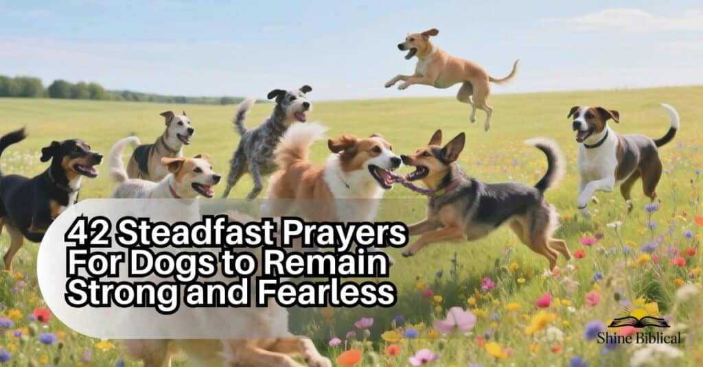 prayers for dogs